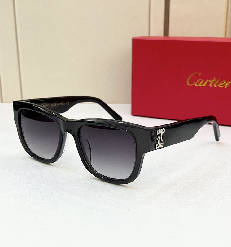 CartierMODEL:CT0489SSIZE 52, photo 1