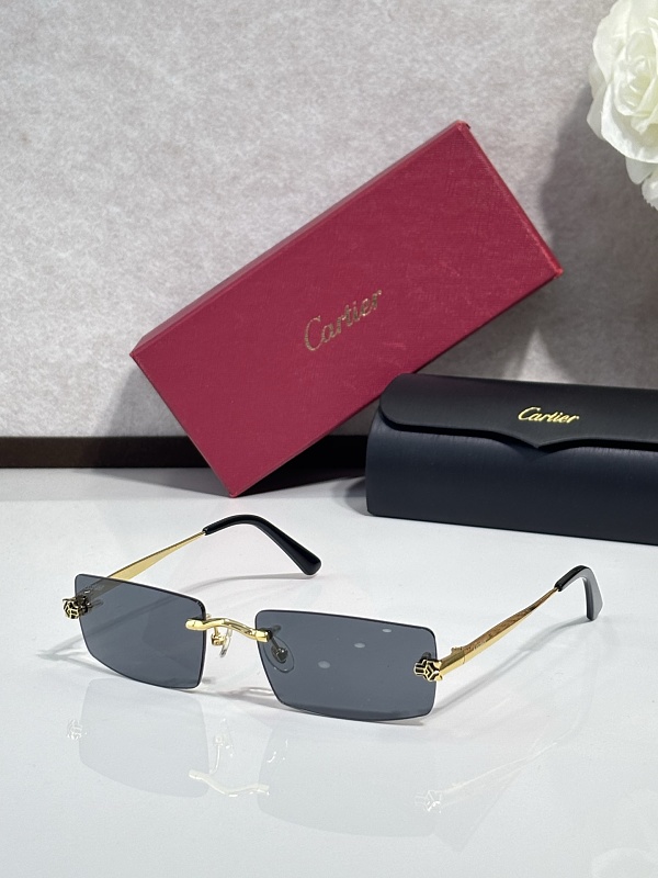Other CartierMOD:CT0598SSize:55, photo 1