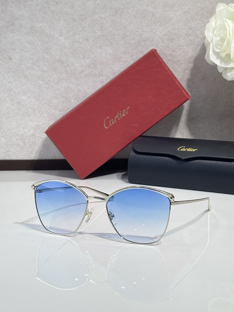 CartierMODEL:CT0595SSIZE 59, photo 1