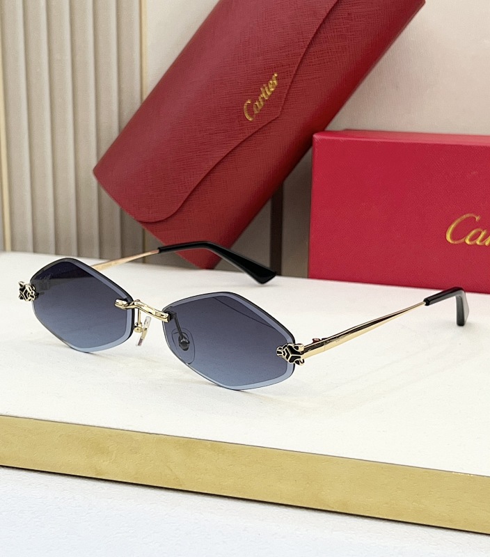 Other CartierMODEL:CT0433SSIZE 50, photo 1