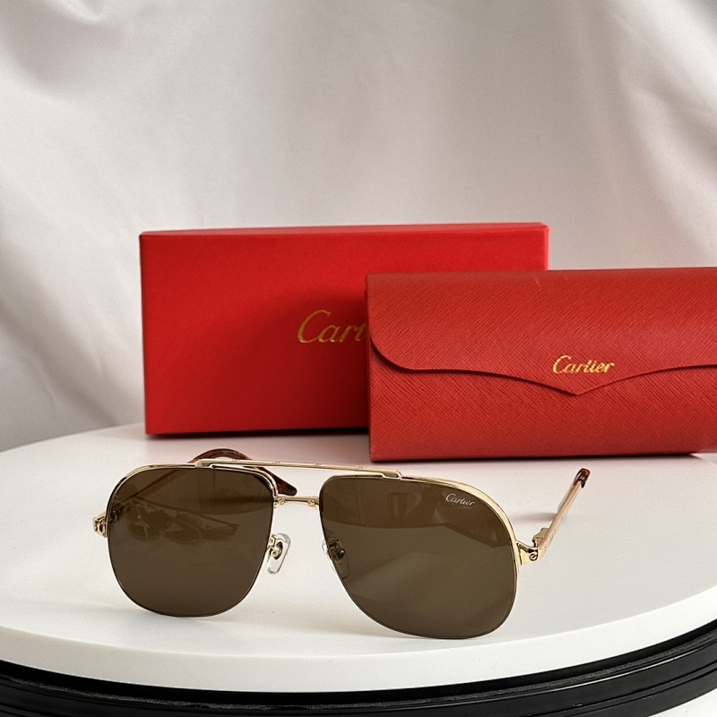 Other lCartierMODEL:CT0353SSIZE:62, photo 1