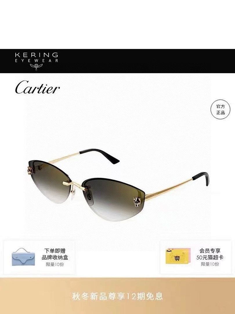 Other CartierMODEL:CT0431SSize:65, photo 1