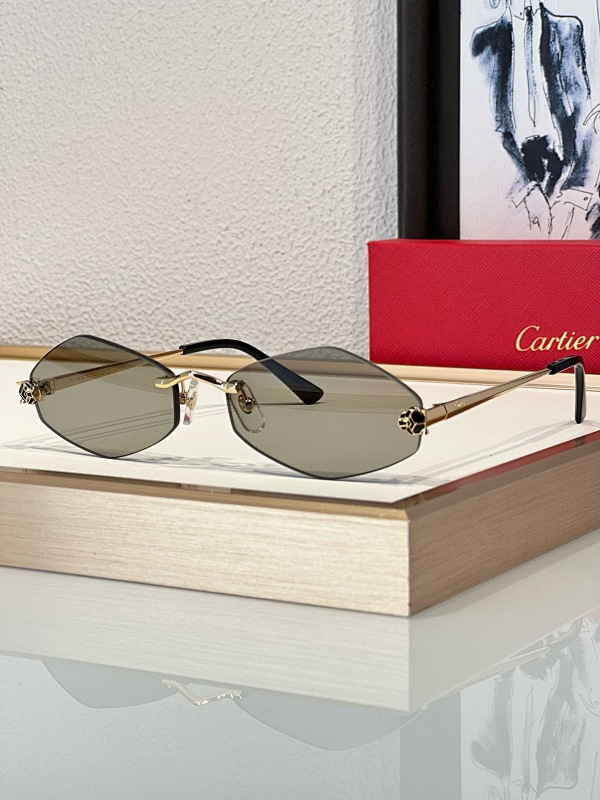 Other CartierMod:CT0433SSize:55, photo 1