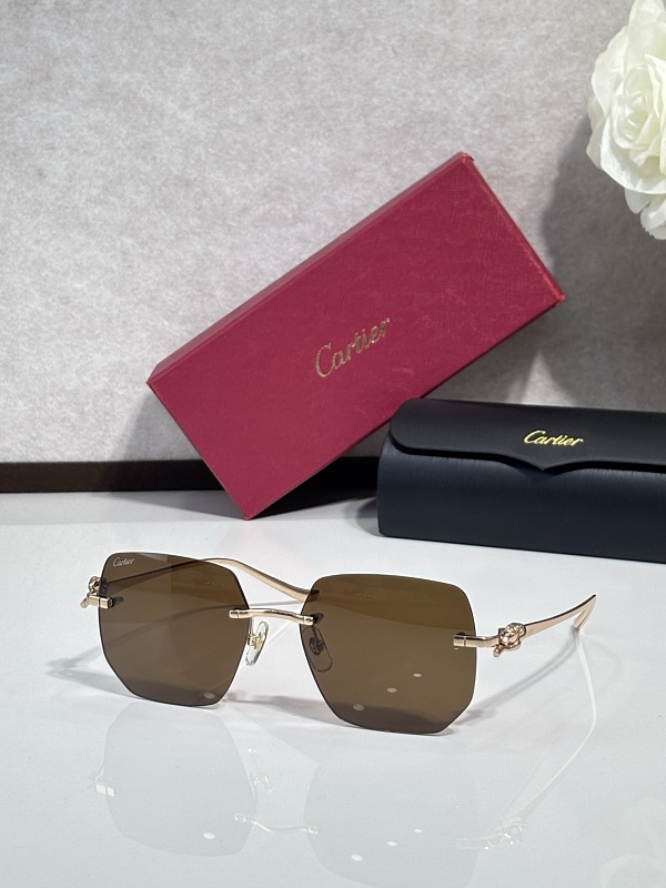 Other CartierMODEL:CT0549SSIZE:57, photo 1