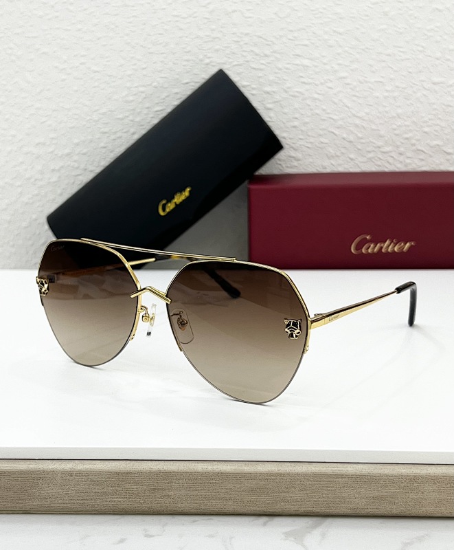 CartierMODEL:CT0355SSIZE:64, photo 1