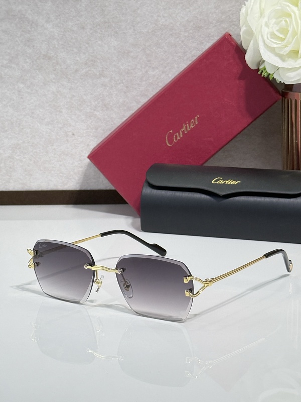 Other CartierMODEL:CT0917S SIZE:145, photo 1