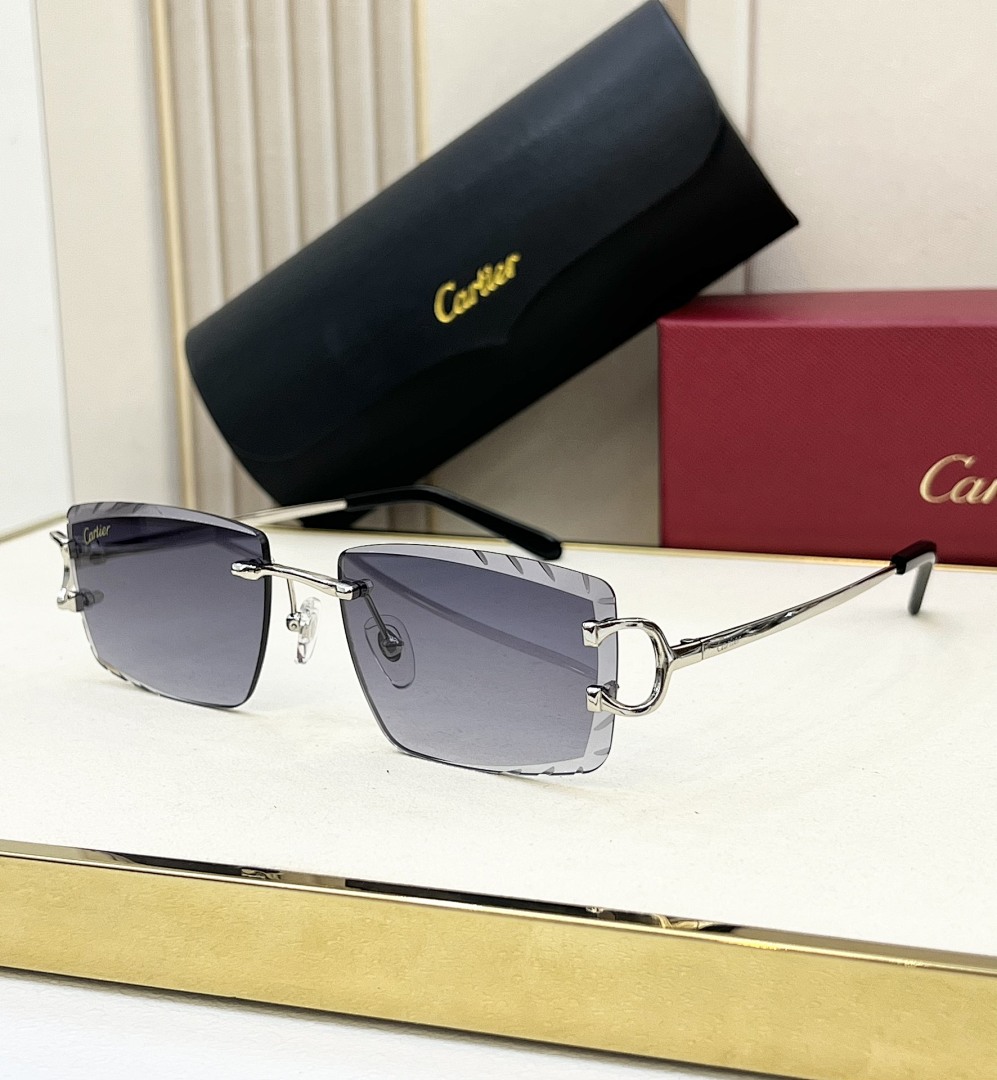 CartierMODEL:CT0094OSIZE 55 18-135_, photo 1