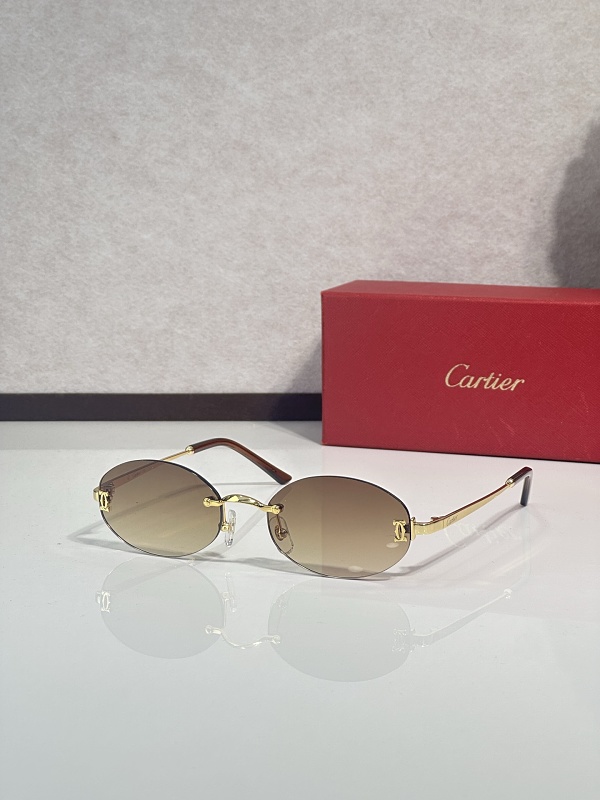 CartierMODEL:CT0592S SIZE:55, photo 1