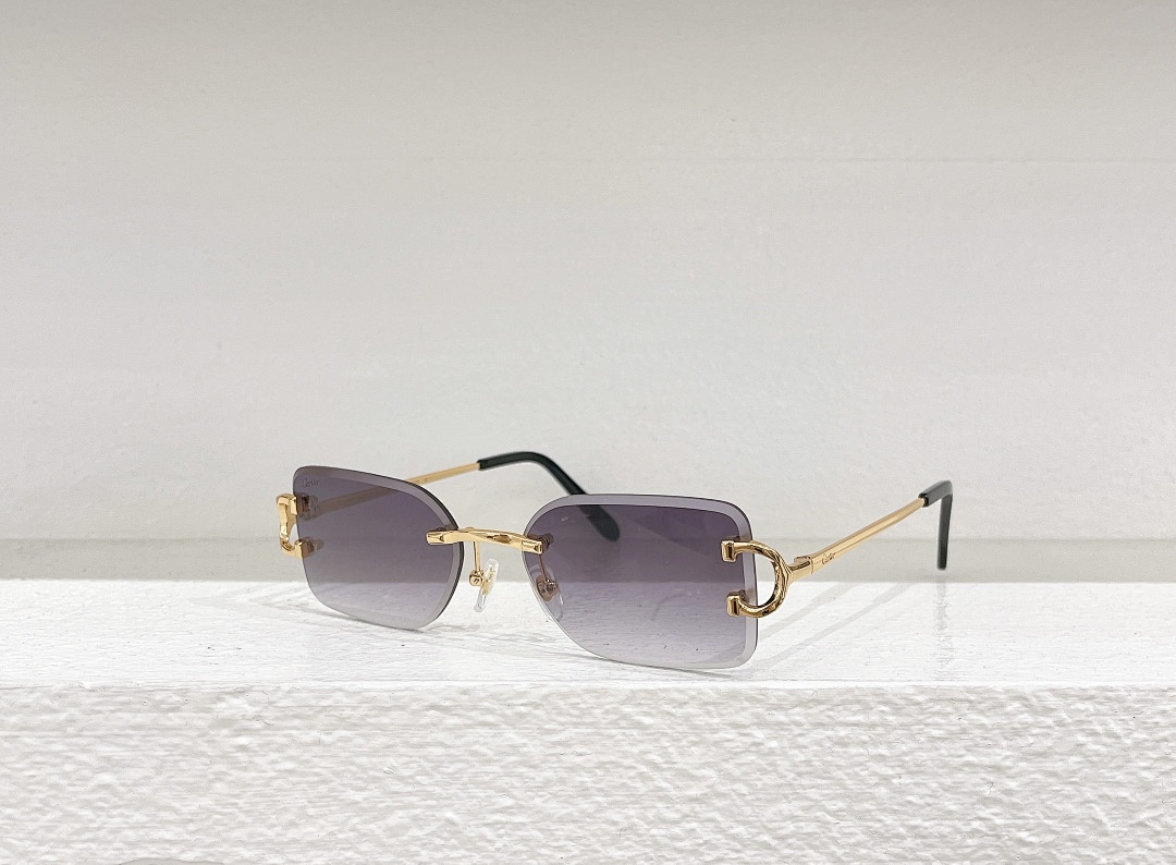 CartierMODEL:CT0092O SIZE 55, photo 1