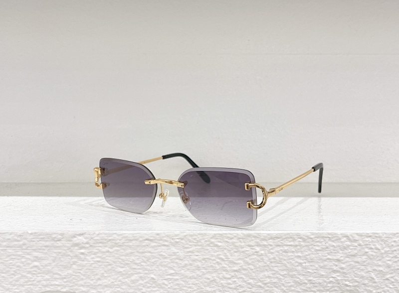CartierMODEL:CT0092O SIZE 55, photo 1