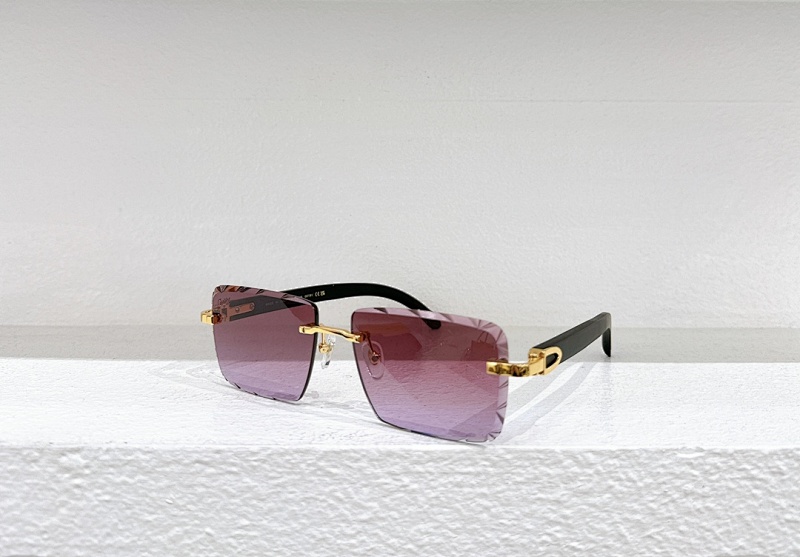 CartierMODEL:CT0528SSIZE 60, photo 1