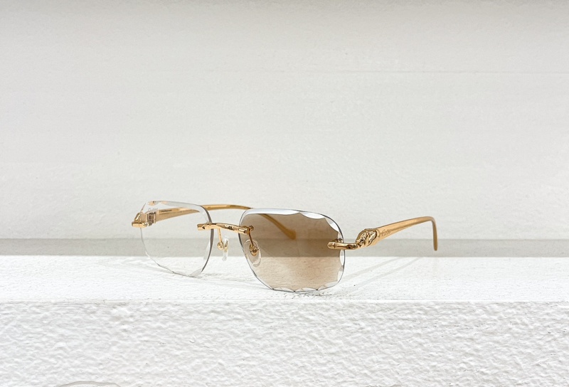 Other CartierMODEL:CT0058OSIZE 55, photo 1