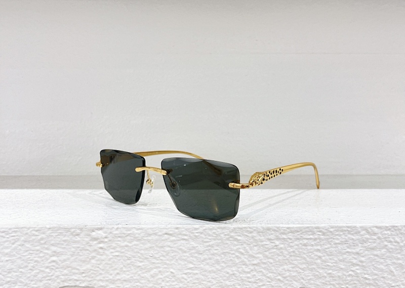 CartierMODEL:CT0523SSIZE 56, photo 1