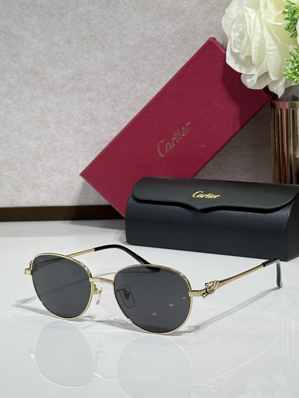 CartierTITANIUMMOD:CT06030ASIZE53 17-140_, photo 1