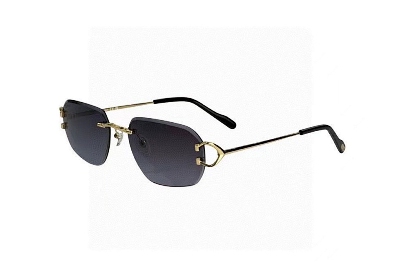 CartierMODEL:CT0468S SIZE:58, photo 1