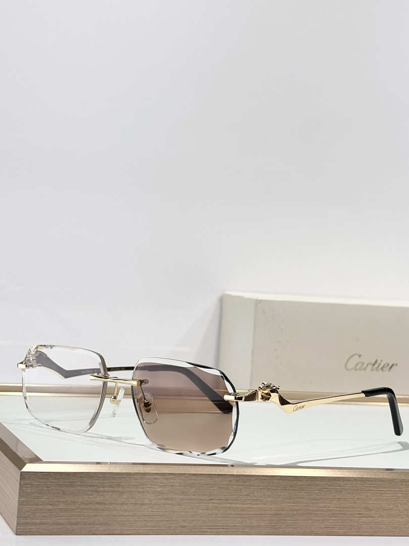 CartierMOD:CT0120OSize:59, photo 1