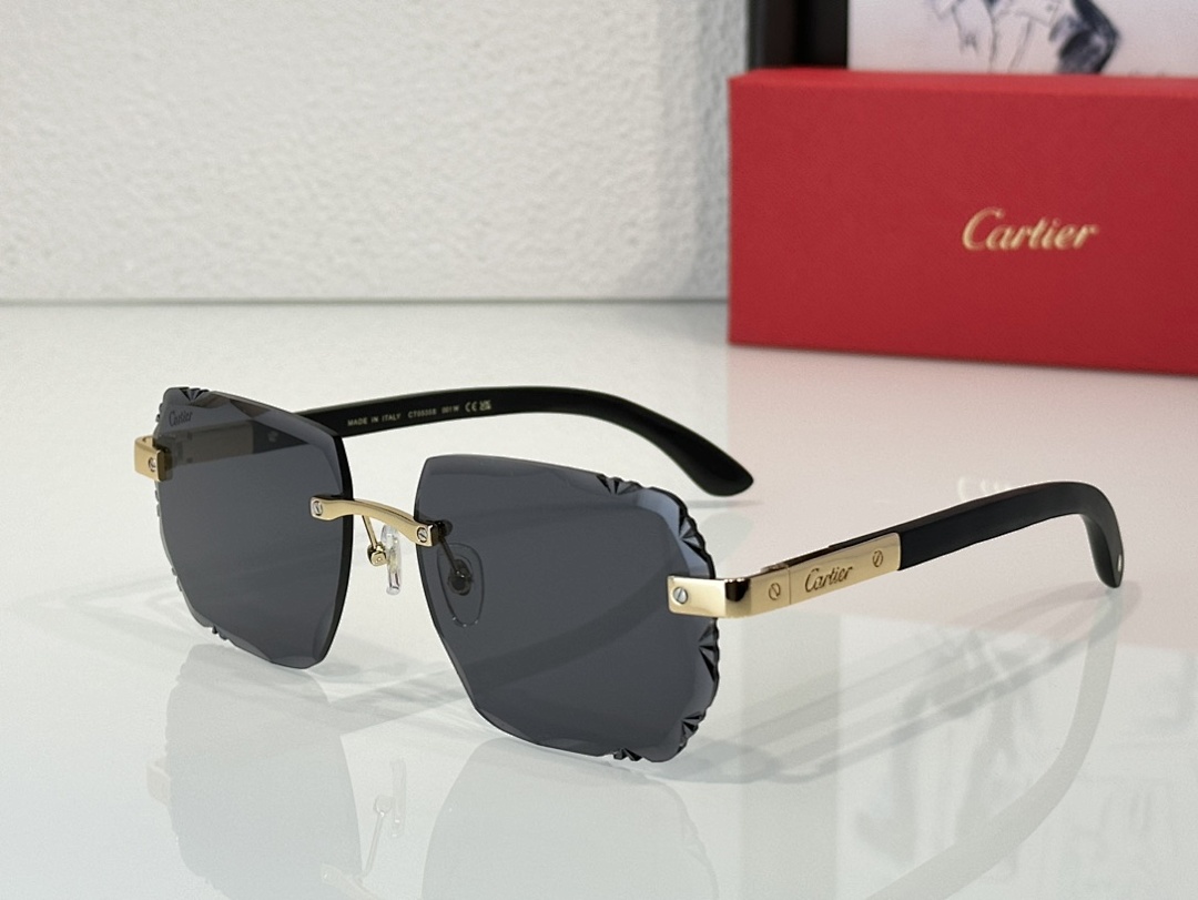 CartierMod:CT0535SSize:59, photo 1