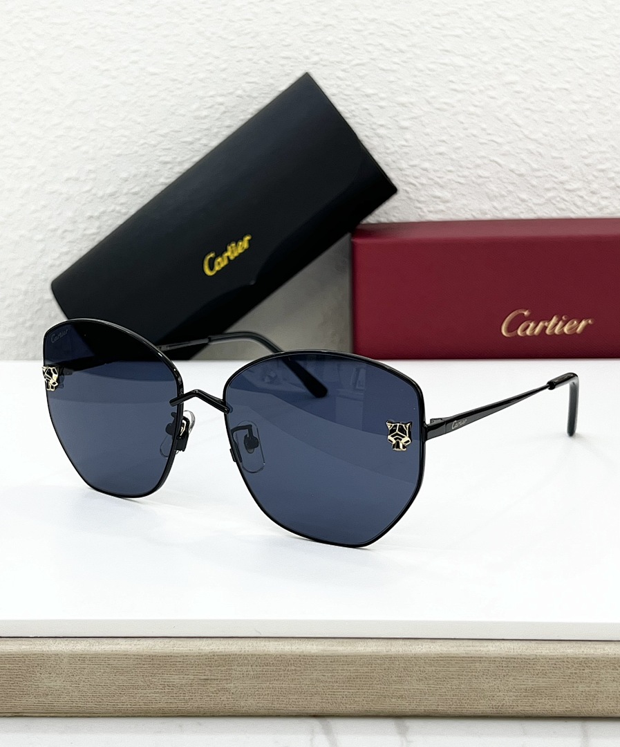 CartierMODEL:CT0400SSIZE:62, photo 1