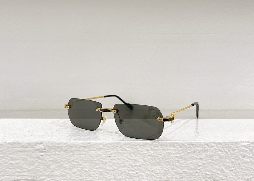 CartierMODEL:CT0498SSIZE:59, photo 1