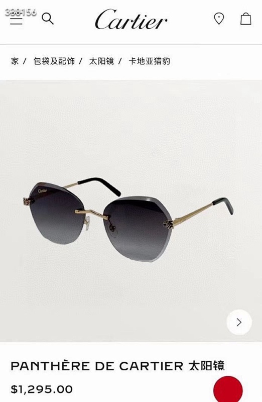 Other Cartier ModelCT0455SSIZE61, photo 1