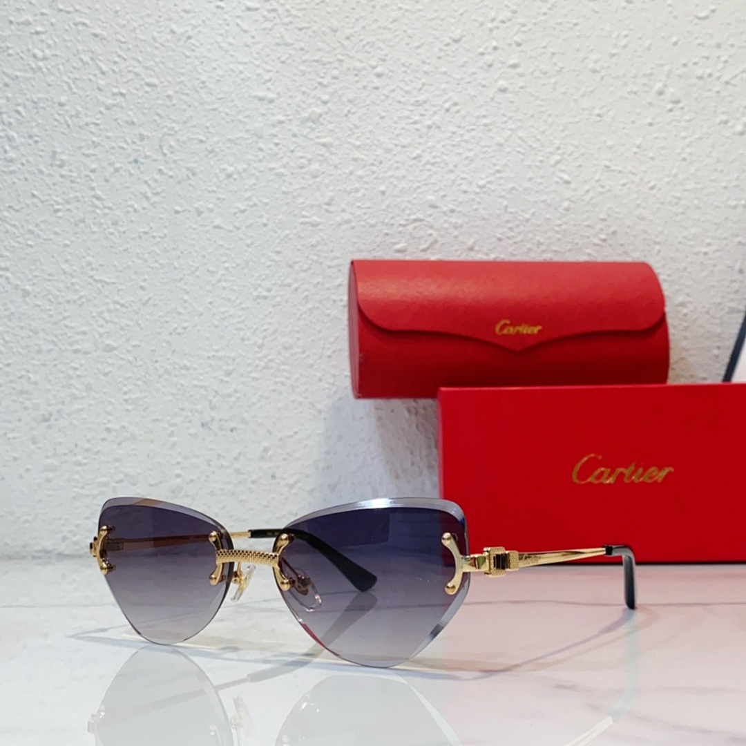 CartierMODEL:CT0551S SIZE 55, photo 1