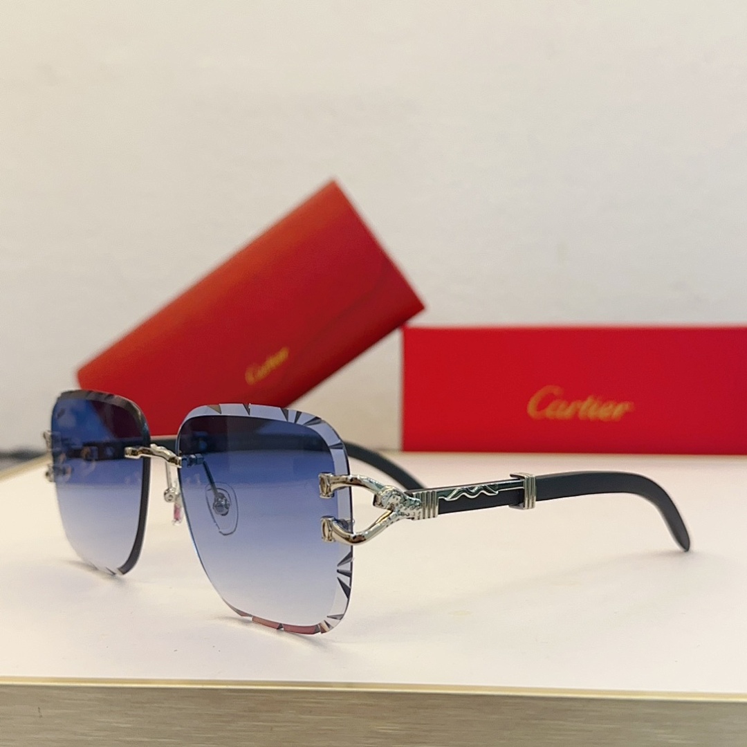 CartierMODEL:CT0531SSIZE 61, photo 1