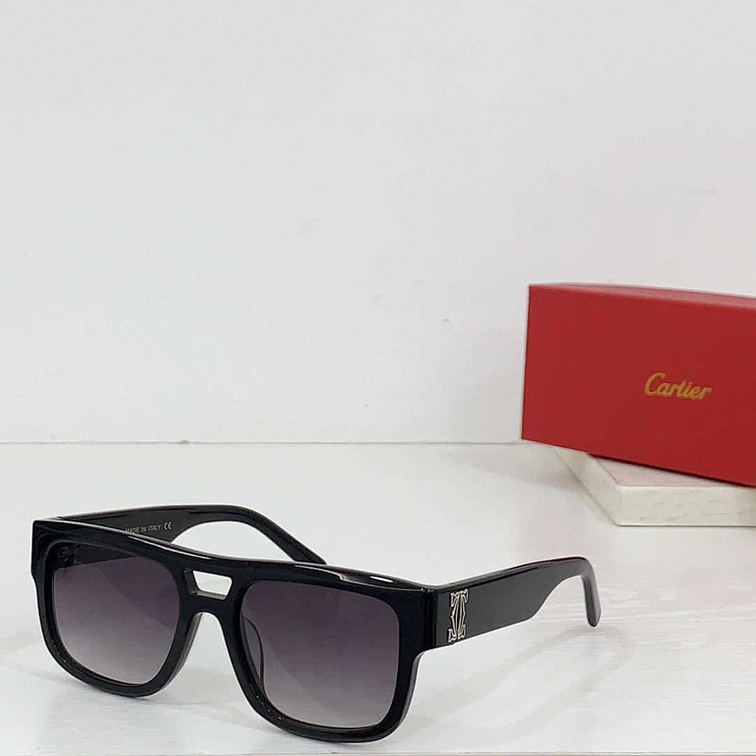 CartierMODEL:CT0490SSIZE 53 20-140_, photo 1