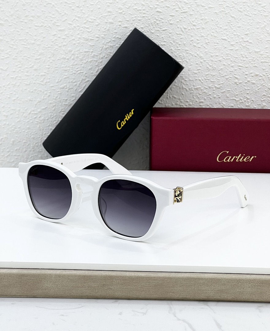 CartierMODEL:CT0507SSIZE:52, photo 1