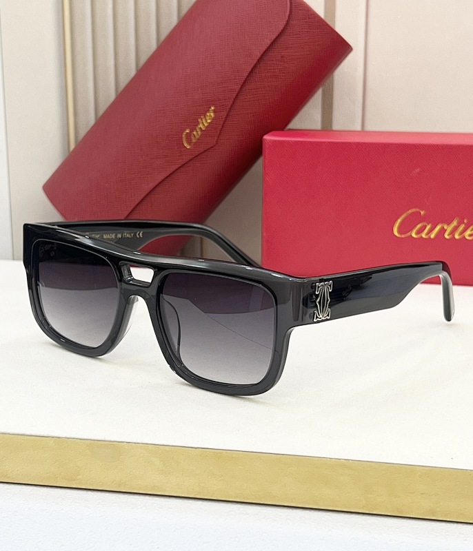 Other CartierMODEL:CT0490SSIZE 53 20-140_, photo 1
