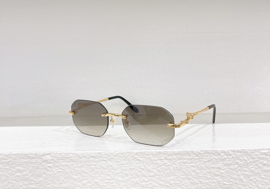 CartierMODEL:CT0281OSIZE 55, photo 1