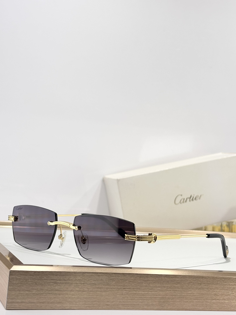CartierMODEL:CT0578OSIZE 55 17 145_, photo 1