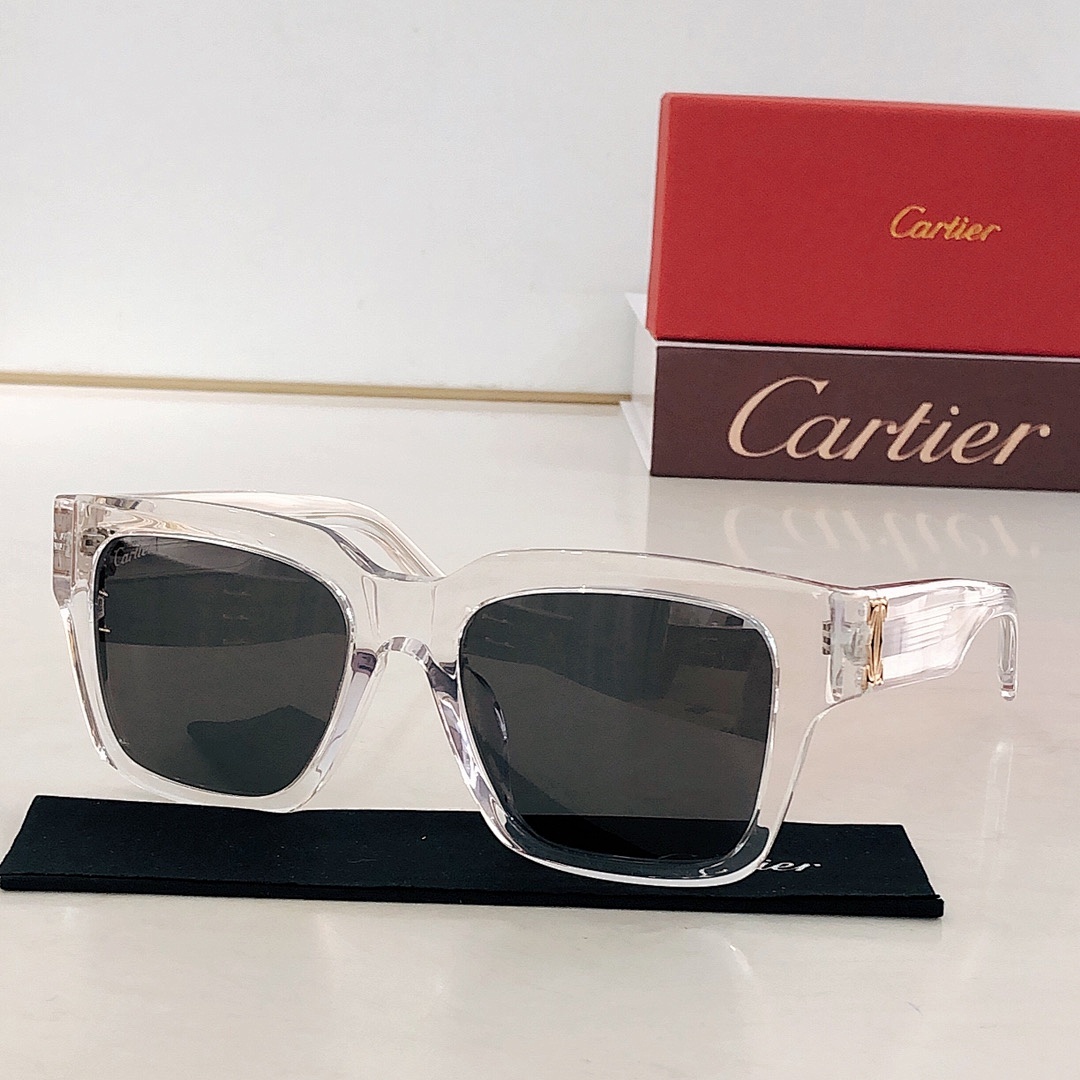 CartierMODEL:CT0487SSIZE 52 22-140_, photo 1