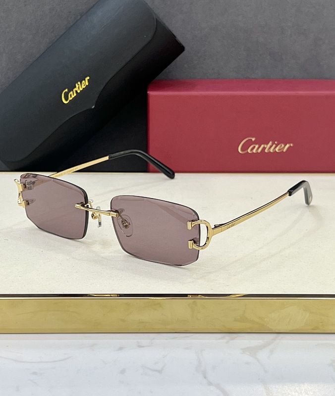 Other CartierMODEL:CT0092OSIZE:54 17-140_133, photo 1