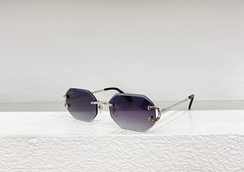 Other CartierMODEL:CT0092OSIZE:55, photo 1