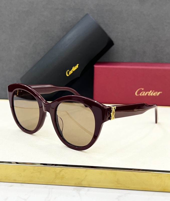 CartierMODEL:CT0436SSIZE 55, photo 1