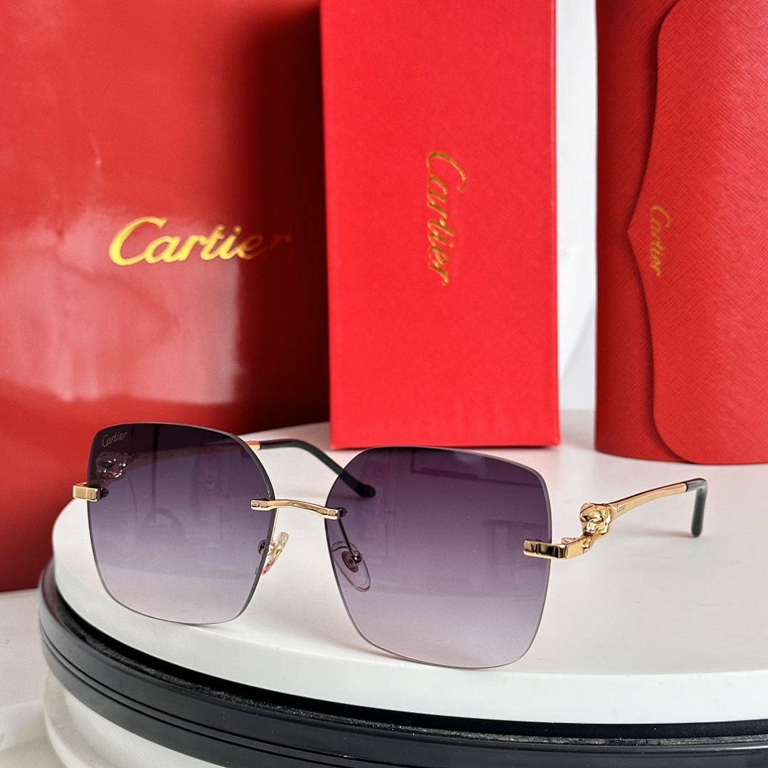CartierMODEL:CT0359SSIZE:60 15-140_, photo 1
