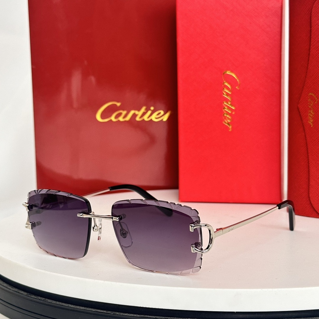 Other CartierMODEL:CT0101O SIZE:55, photo 1