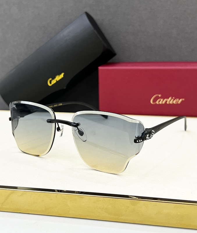 CartierMODEL:CT0546SSIZE:59, photo 1