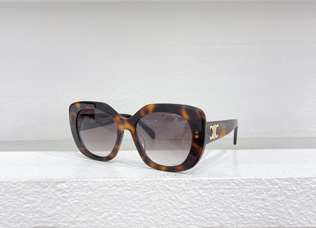 Other CELINEMODELCL40226USIZE55