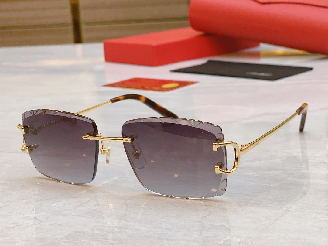 Other CartierMODEL:CT0101O,SIZE:55, photo 1