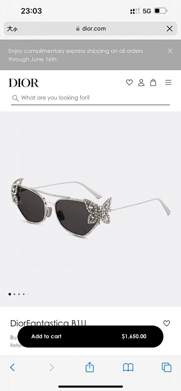 Other DIORDiorFantastica B1USize61