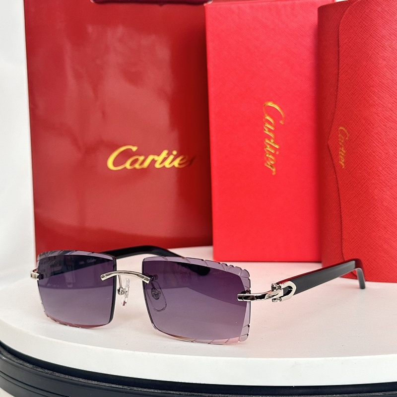 CartierMODEL:CT0243 SIZE:55, photo 1