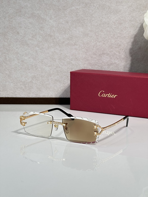 Other CartierMOD:CT0700SSize:56 17, photo 1