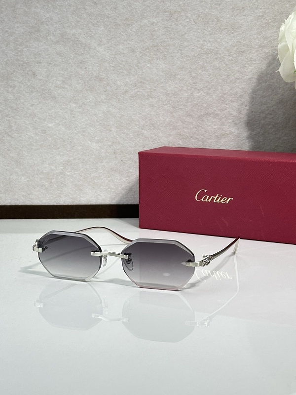 CartierMODEL:CT0922SSUZE:57, photo 1