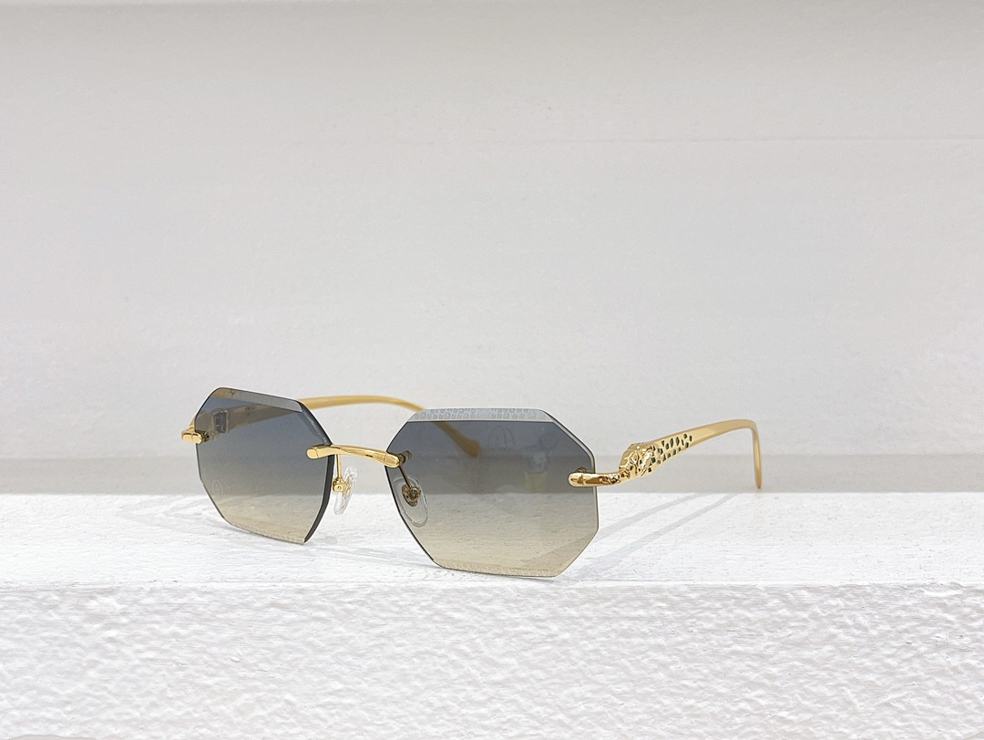 CartierMODEL:CT0524SSIZE 56, photo 1