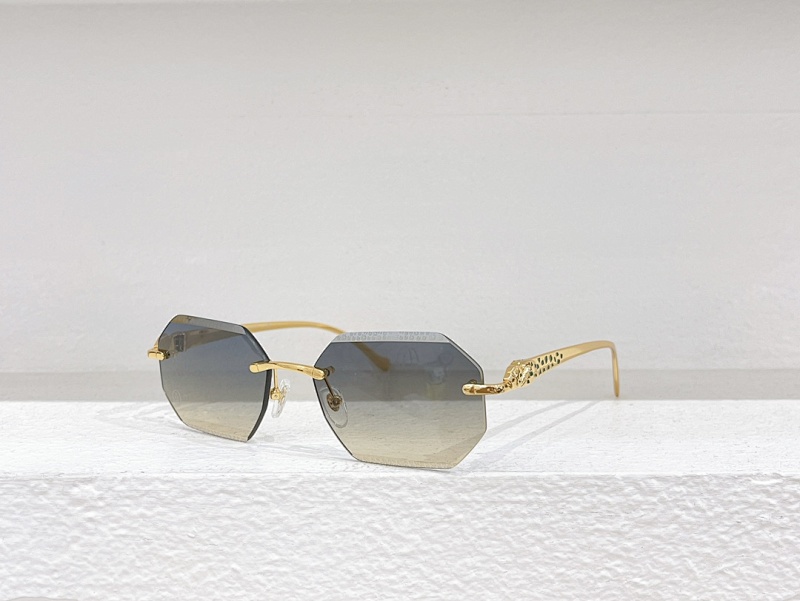 CartierMODEL:CT0524SSIZE 56, photo 1