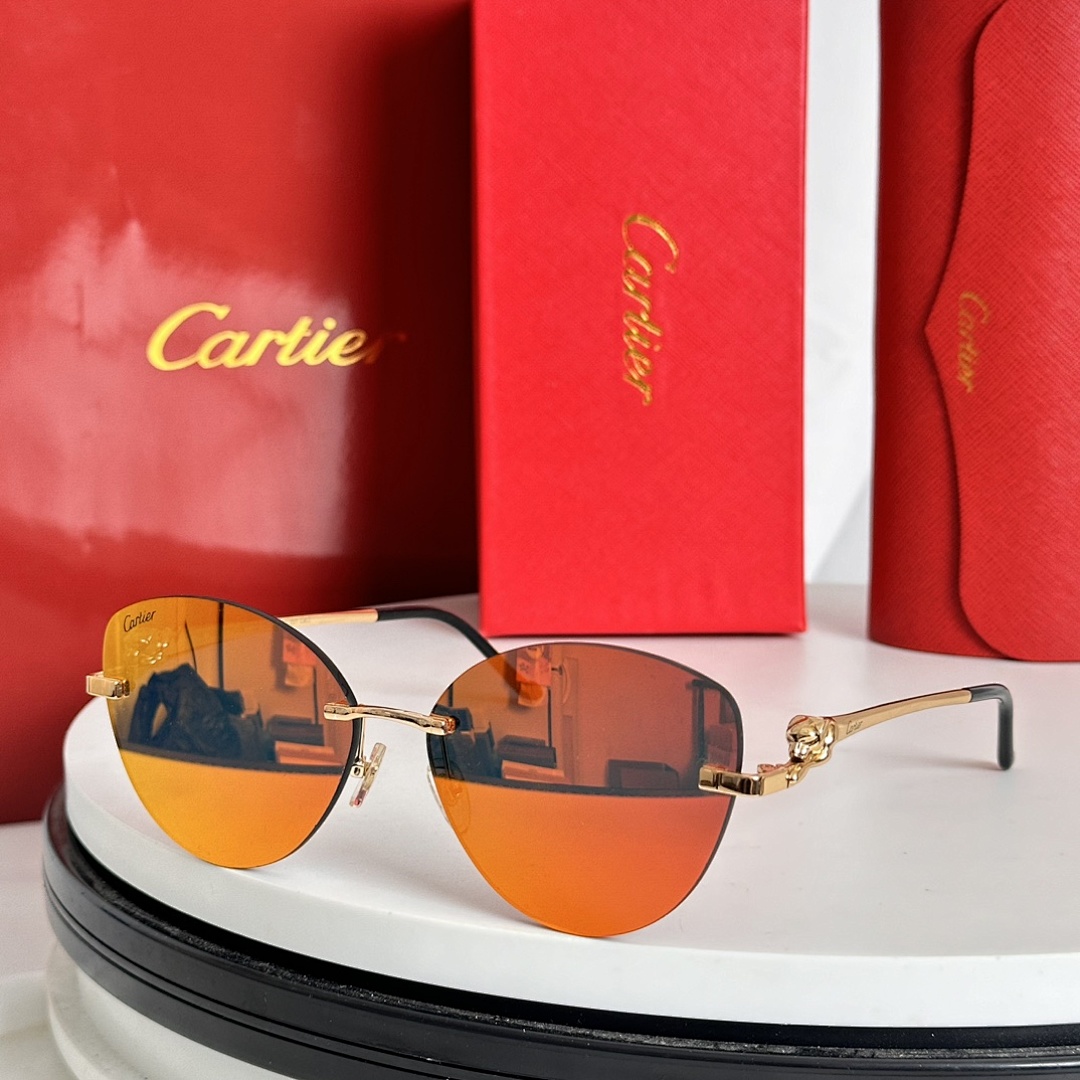 CartierMODEL:CT0269SSIZE:60, photo 1