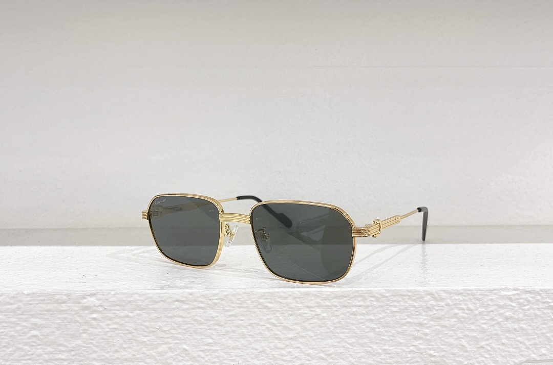 CartierMODEL:CT0445OSIZE 58, photo 1