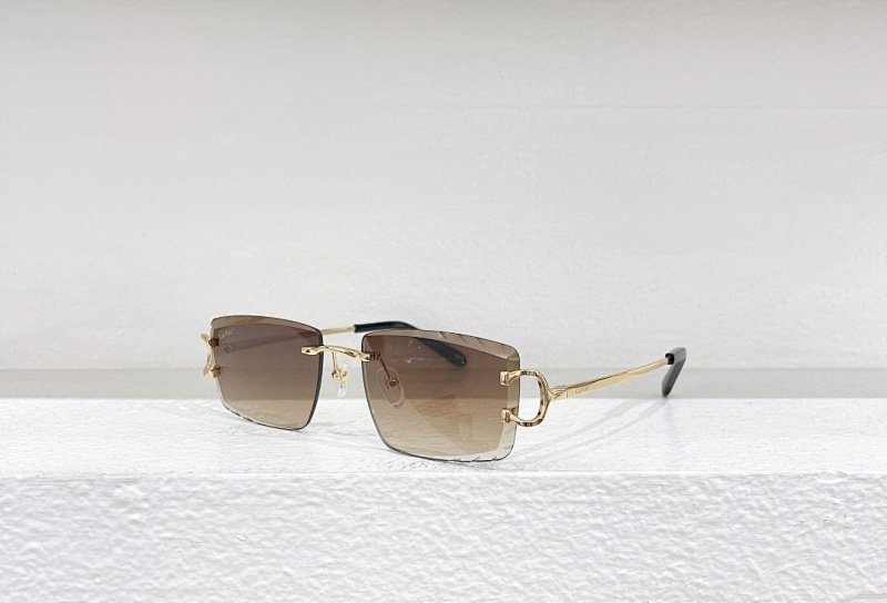 CartierMODEL:CT0094OSIZE 55 18-135_, photo 1