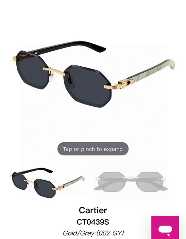 Other CartierMODEL:CT0439SSIZE:57 19-145_, photo 1